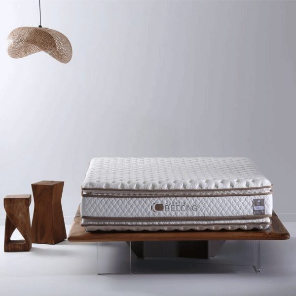 CARESS1 1