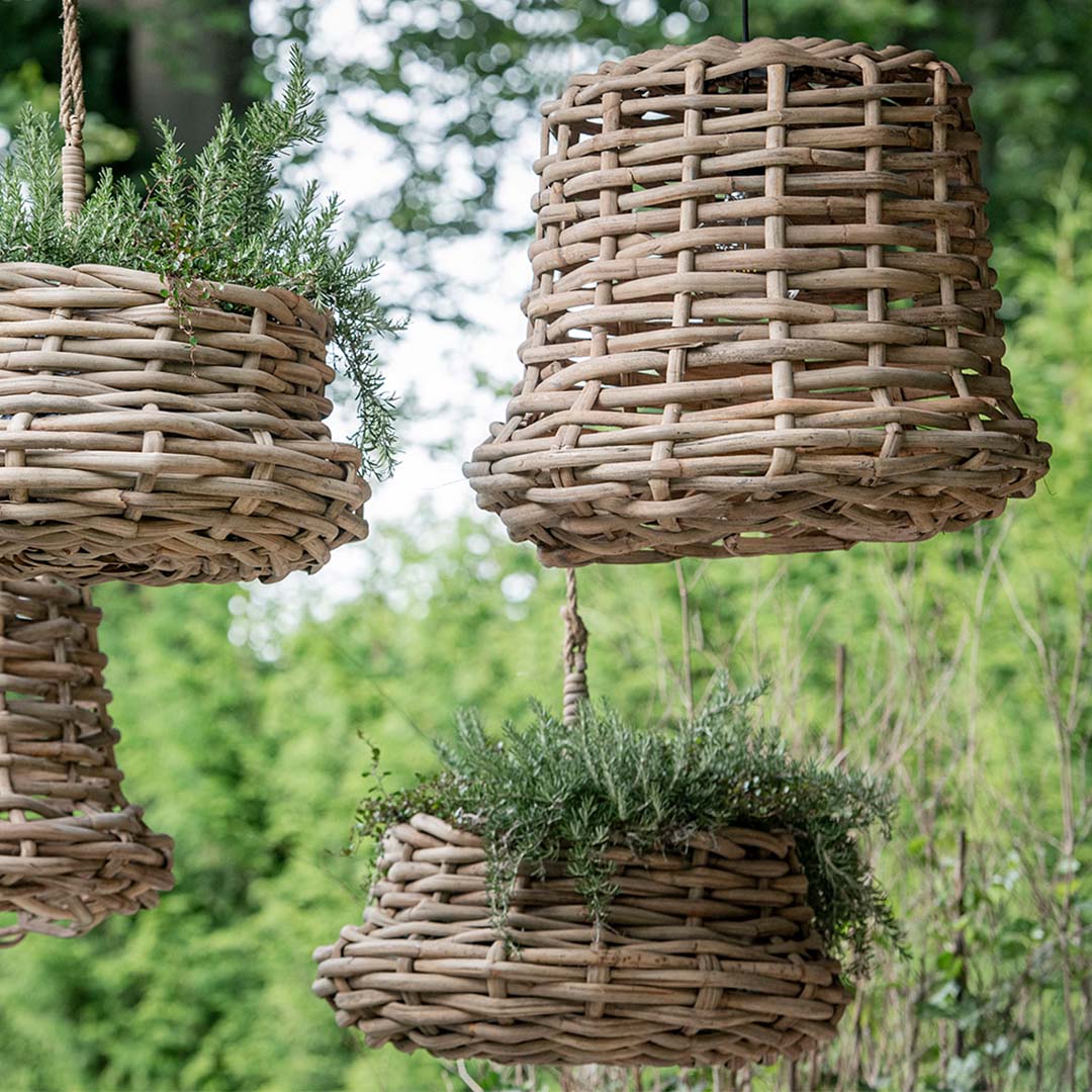 Hanging Lamp Derek 2