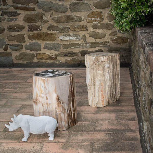 Petrified Wood 2