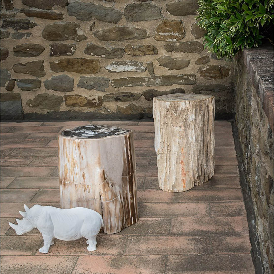 Petrified Wood 2
