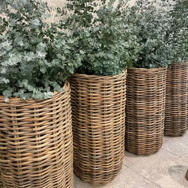 Julia Gommaire G309S CLR G309M CLR G309L CLR G309XL CLR 3