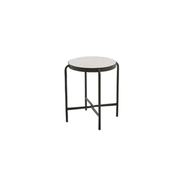 Palm Coffee Table High